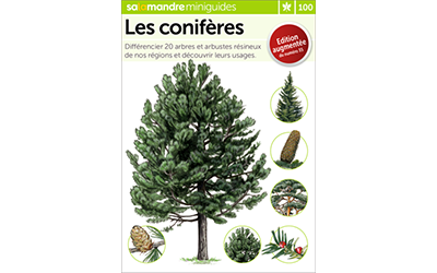 Mini Guide Les conifères