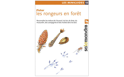 Pister les rongeurs en forêt