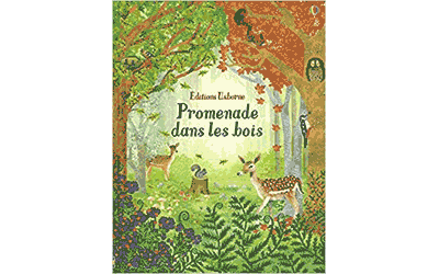 Promenade dans les bois