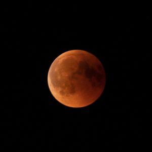 harvest moon