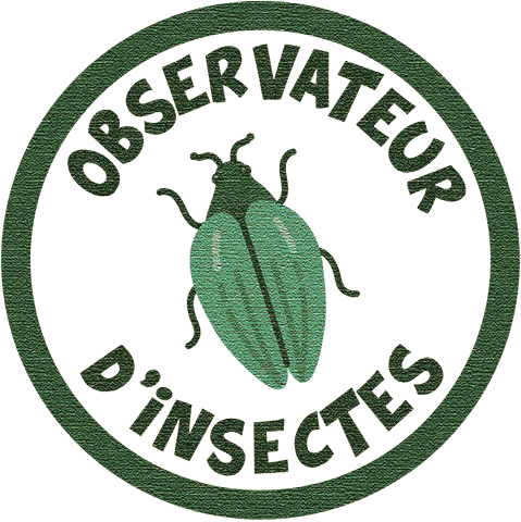 Observateur d’insectes